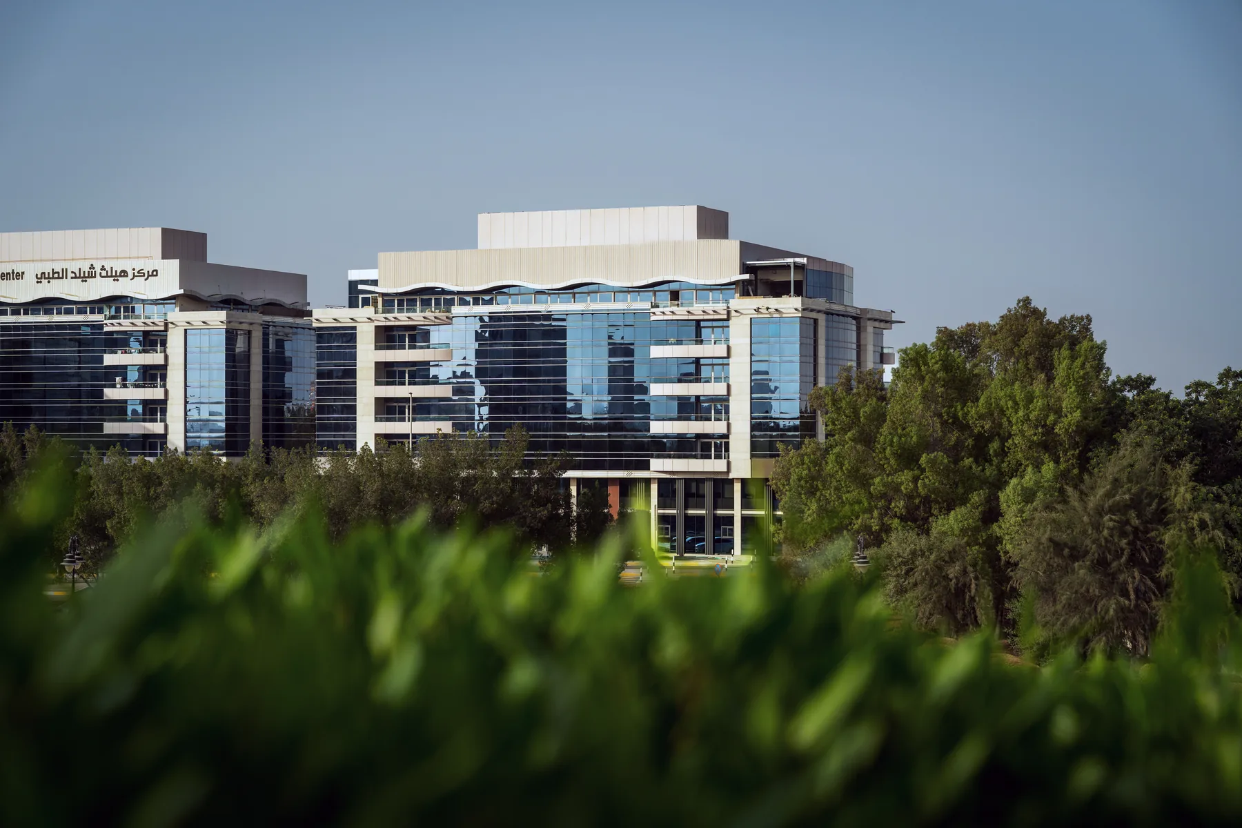 Dubai Commercial Building